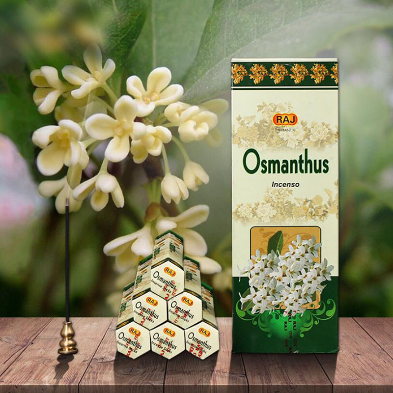 Импортированные из Индии благо – обзор и цена Candle Supplies India